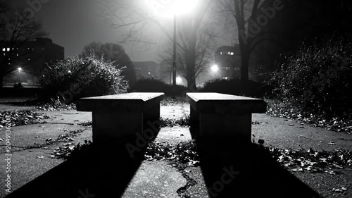 Black and white shot of two empty benches on a paved pathway illuminated by a street lamp at night