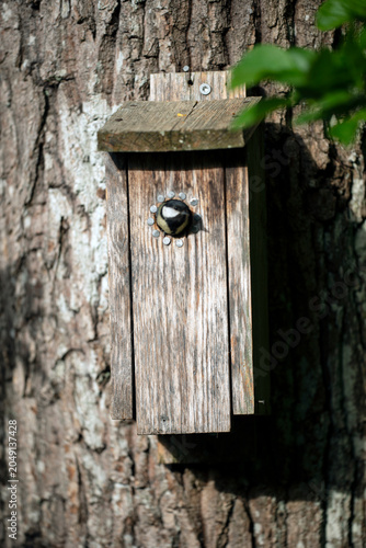 great fit in tree