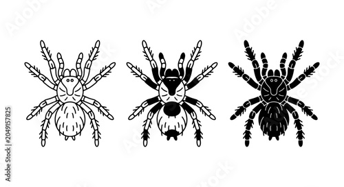 Obraz na płótnie Tarantula Vector Icons, Arachnid Illustrations, Spiders Set, Insect Graphics, Bl