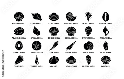 Seashell Collection Glyphs. Solid glyph icon set of Shell and seashell icons displayed in labeled grid on white: scallop shell, conch shell, clam shell, nautilus shell, murex shell, cowrie shell,