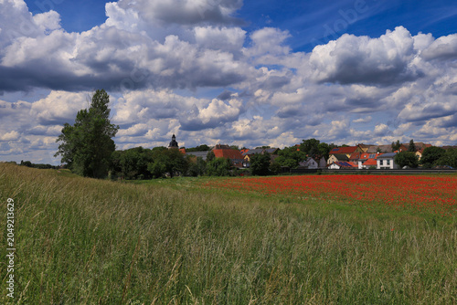 Großes rotes Mohnfeld vor einer idyllischen Dorfkulisse im Sommer unter blauem Himmel mit Wolken, Radweg zwischen Schkeuditz und Halle, Landkreis Nordsachsen, Sachsen, Deutschland