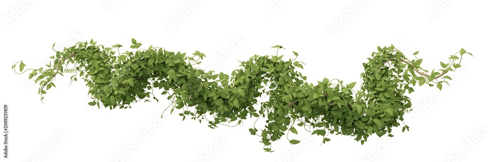 Fototapeta premium Fresh Green Foliage Border
