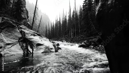 Black and white shot of a fast-flowing river through a rocky canyon with a forest in the background on a misty day