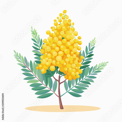 Yellow mimosa flower with green leaves