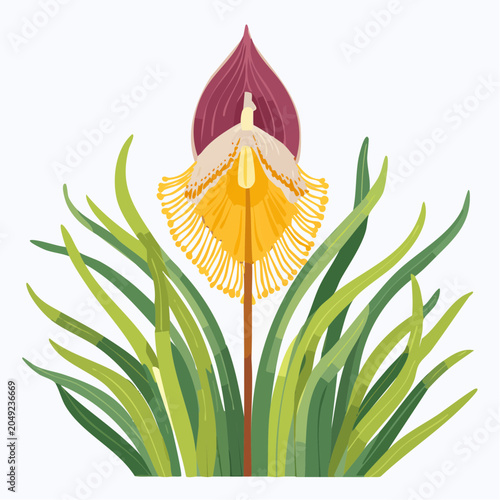 Yellow orchid flower with purple leaf and green grass