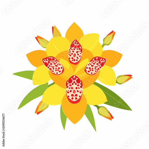 Yellow orchid flower bouquet with buds