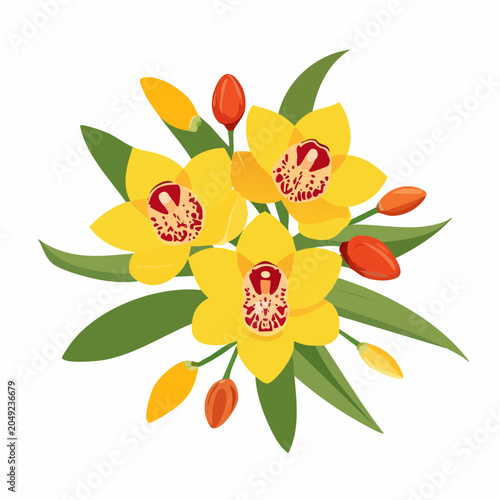 Yellow orchids with buds and leaves with transparent background