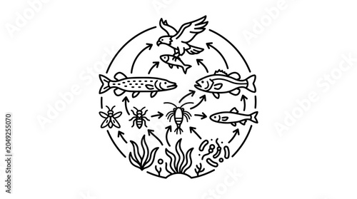 Obraz na płótnie Circular aquatic ecosystem food chain line art illustration.