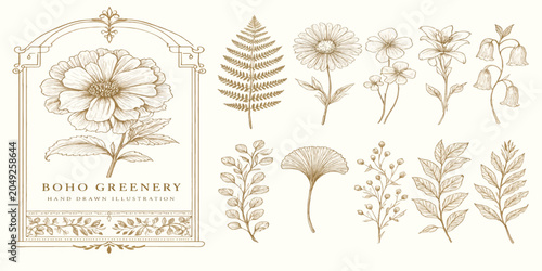 Vintage hand drawn botanical illustration set with floral frame botanical illustration collection decorative wildflower monochrome engraving herbarium template ornament composition.