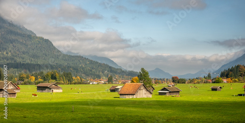 Foto Bavarian Alpine Meadows Near Zugspitze Mountain Germany