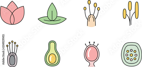 Εκτύπωση καμβά Minimal abstract botanical icon collection with lotus leaf seed pod and floral e