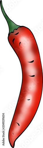 Red Chili Pepper Illustration Isolated