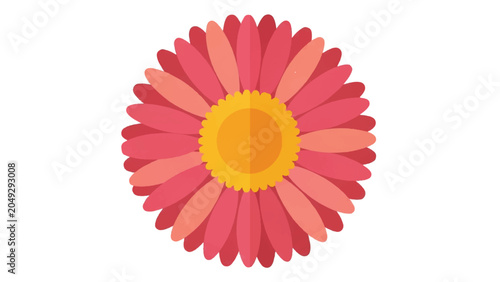 Foto Pink Daisy Flower Illustration with Petals.