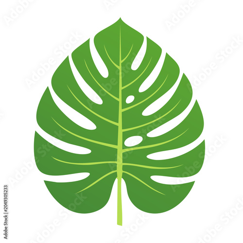 Green Monstera leaf, flat design illustration
