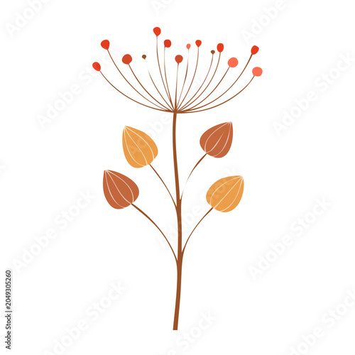 Minimalist illustration of a flower with seed pods and leaves