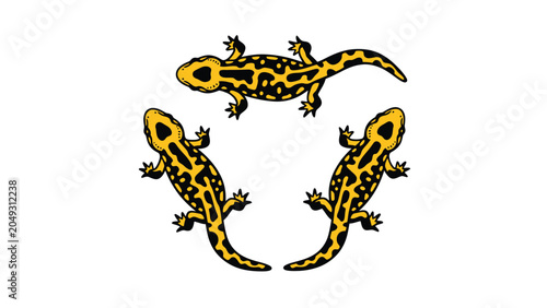 Three yellow salamanders with black spots arranged in a circular pattern on a white background.