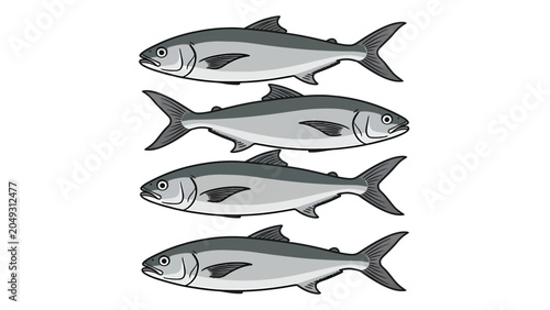 Four identical silver fish swimming in a vertical line against a white background, illustration.