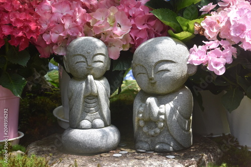 Foto 室生寺 あじさい回路