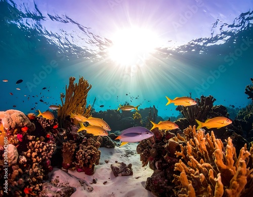A vibrant underwater scene with coral reef and sunbeams