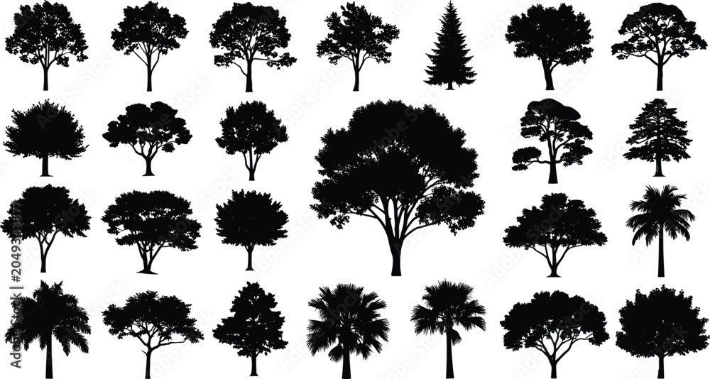 Fototapeta premium Collection of diverse tree silhouettes in black isolated on white background for design, botanical illustration, and educational use