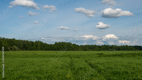 Air sunny summer landscape with large meadow, far forest under blue sky with white clouds. Natural summer background.