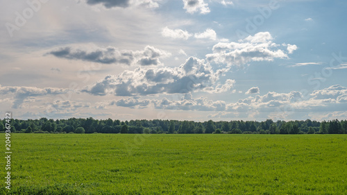 Air sunny summer landscape with large meadow, far forest under blue sky with white clouds. Natural summer background.