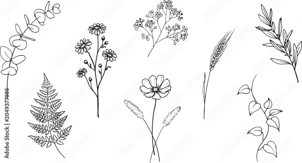 Fototapeta premium Botanical illustration set hand drawn floral and foliage elements for design