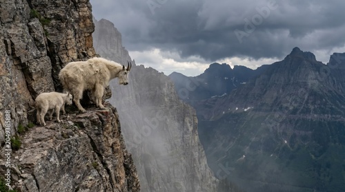 Mountain Goat Mother and Kid on Steep Rocky Cliff