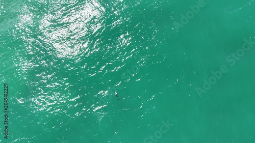 Drone video aerial view of the ocean near a beach in Australia in summer 