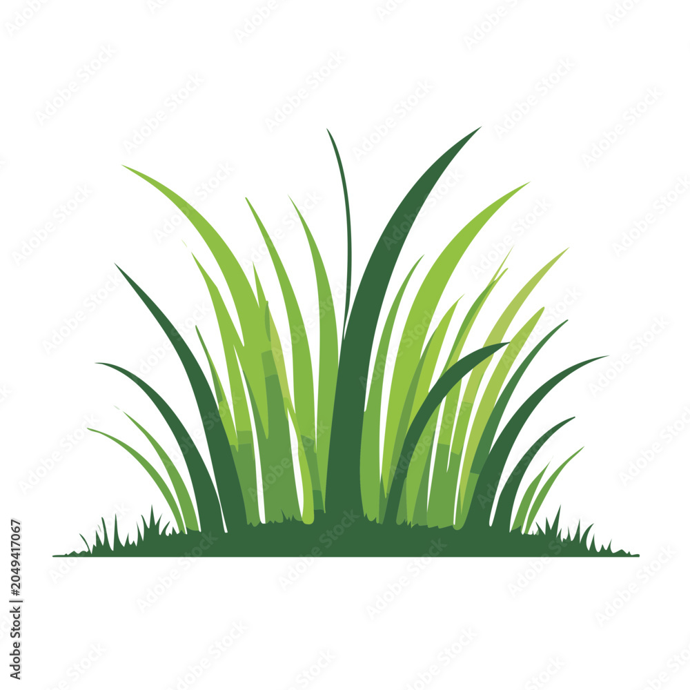 Fototapeta premium Green grass illustration on white background