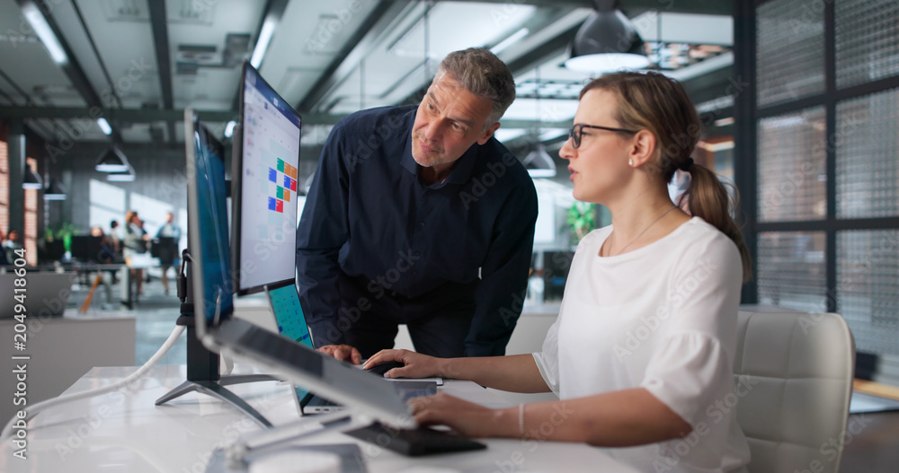 Naklejka premium HR Manager Guiding Young Employee On Payroll Software