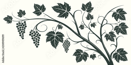 Quadro su tela Graphic illustration of grapevine branch with clusters of fruit grapevine vineya