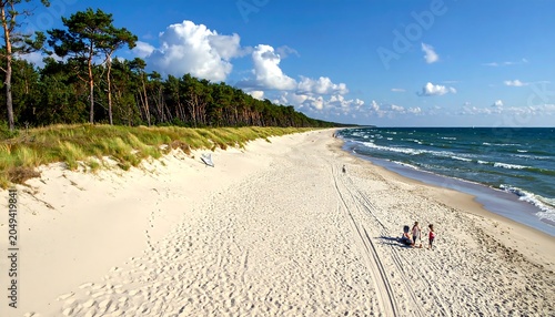 Aerial view of a sandy beach bordered by trees and the ocean under a bright, partly cloudy sky