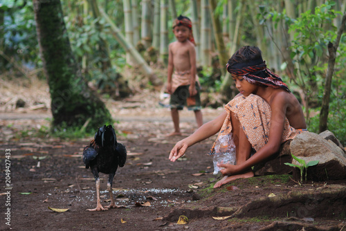 Slika na platnu Two rural Indonesian boys in traditional clothing feed free-range fighting roost