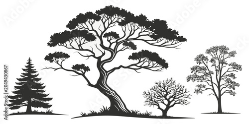 Cuadro en lienzo Diverse tree silhouettes set with pine stylized broadleaf bare deciduous varieti
