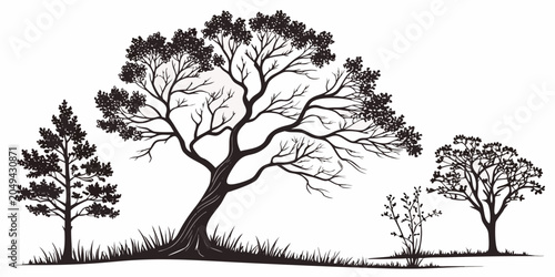 Cuadro en lienzo Assorted tree silhouettes with varied foliage bare branches bush elements for na