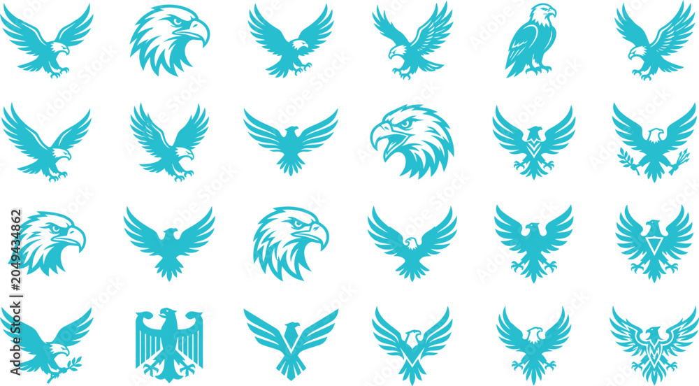 Fototapeta premium Eagles spread their wings in flight across the landscape with various poses.
