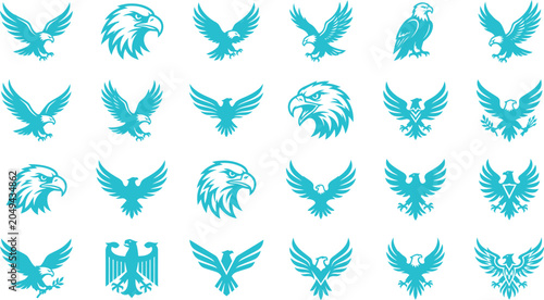 Bild auf Leinwand Eagles spread their wings in flight across the landscape with various poses
