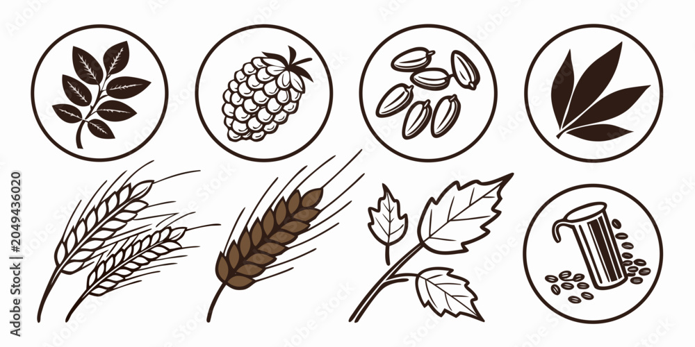 Fototapeta premium Set of brewing ingredient icons in circles including barley and hops with botanical agriculture ingredient vegetation illustration brewhouse collection