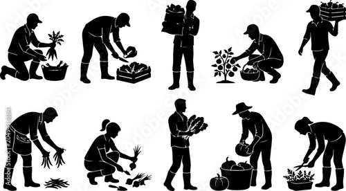 Set of farmers harvesting vegetables and fruits isolated on white background vector illustration