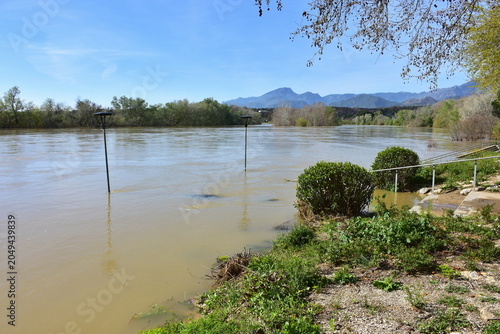 flooded river Ebre in region of village Xerta in Spain