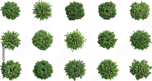Set of green trees top view isolated on white background for architectural landscape design and site planning