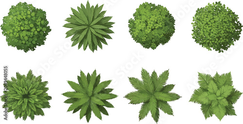 Top view trees and tropical plants set for architectural landscape design and site plan mapping vector illustration