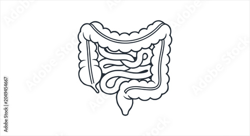 Detailed illustration of the human digestive system intestines.