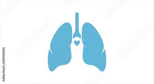 Bild auf Leinwand Illustration of human lungs with trachea and bronchi.