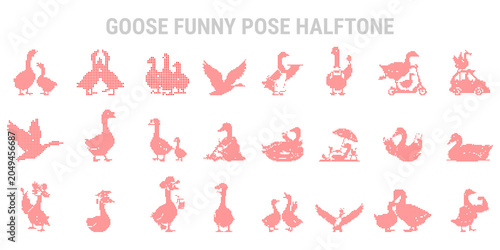 Foto Goose funny pose halftone pink silhouette set isolated on white background