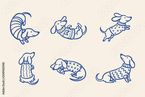 Fotografía Dachshund dogs in different poses wearing sweaters Vector