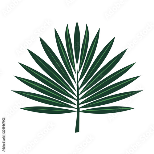 Green palm leaf in flat design style on white background