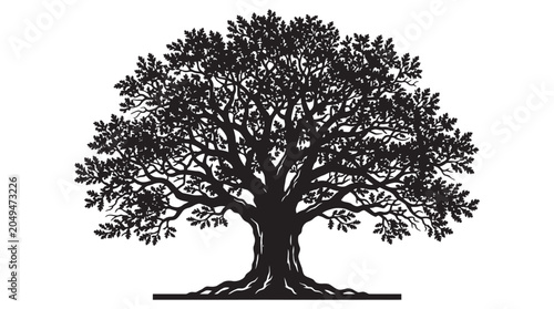 Tableau sur toile Detailed Oak Tree Silhouette Against A White Background Silhouette