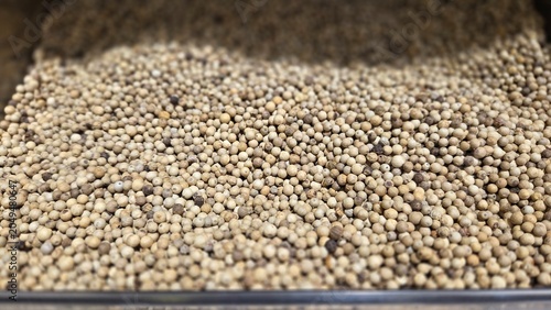 Close-up of coriander seeds (ketumbar) in Indonesian market. Popular aromatic spice for seasoning, cooking, and traditional recipes